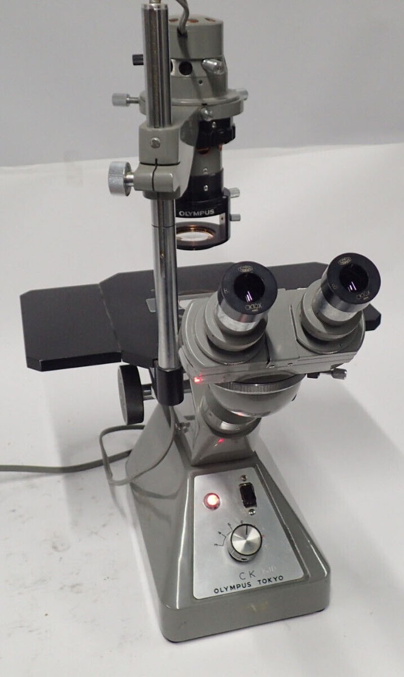 C:\Users\Sales\Documents\Amir's pictures for now\Session 2\TSS\March 2025\PAST MICROSCOPES\Olympus CK Inverted Stereo Microscope with 4 0.10, 10 0.25, C20 0.40 1.20 Objectives\TSS