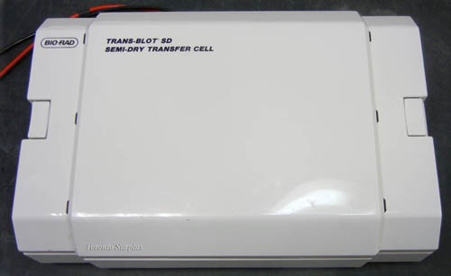 Bio Rad Trans-Blot SD Semi-Dry Transfer Cell 1