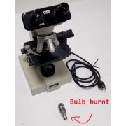 Nikon SC Binocular Microscope with 4 SC 0.1, 10 SC 0.25, 40 SC 0.65 0.17, 100 SC 1.25 Oil 0.17 Objectives 