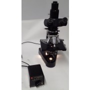 Leitz Wetzlar Trinocular Microscope With 10/0.25, 25/0.50, Pl 40/0.65, NPl Oel 100/1.30 Objectives