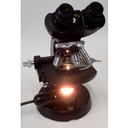 Carl Zeiss 4313375 Binocular Microscope with 2.5x, 10x, 40x, 100 Oil Objectives and Stage