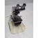 Reichert Austria Nr. 237 579 Microscope With 10:1, 20:1, 45:1, 100:1 Objectives 6Vdc