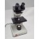 Ernst Leitz Wetzlar GMBH Laborlux 11 020-435.028 Binocular Microscope L20/0.32 PL 2.5/0.08 10/0.25 PHACO 1 Objectives 120Vac