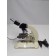 Reichert Austria Nr. 237 579 Microscope With 10:1, 20:1, 45:1, 100:1 Objectives 6Vdc