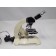 Reichert Austria Nr. 237 579 Microscope With 10:1, 20:1, 45:1, 100:1 Objectives 6Vdc