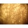 Leica ATC 2000 498E Trinocular Advanced Teaching Compound Microscope With 4x 10x 40x Objectves 