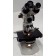 Carl Zeiss Standard 14 47 09 14-9902/35 Binocular Microscope Ph1 10x Ph2 Plan 40x Plan 10x Plan 40x Objectives 