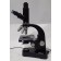 Leitz Wetzlar Trinocular Microscope With 10/0.25, 25/0.50, Pl 40/0.65, NPl Oel 100/1.30 Objectives