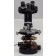 Wild Heerbrugg M20 Trinocular Microscope with 4x, 20x, 40x, 100x Oil Objectives 