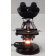 Carl Zeiss 4313375 Binocular Microscope with 2.5x, 10x, 40x, 100 Oil Objectives and Stage