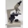 Nikon SC Binocular Microscope with 4 SC 0.1, 10 SC 0.25, 40 SC 0.65 0.17, 100 SC 1.25 Oil 0.17 Objectives 