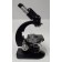 Reichert Austria Nr. 259 774 Binocular Microscope