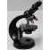 Carl Zeiss 4313375 Binocular Microscope with 2.5x, 10x, 40x, 100 Oil Objectives and Stage