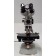 Carl Zeiss Standard 14 47 09 14-9902/35 Binocular Microscope Ph1 10x Ph2 Plan 40x Plan 10x Plan 40x Objectives 