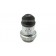 zo Leitz / E. Leitz Wetzlar 3  A=0.25  10:1 Microscope Objective - TSS#GSO24