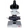 Leitz Wetzlar Ortholux 2 / Ortholux II Trinocular Microscope