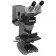 American Optical Spencer Stereo Microscope with Built-in Lamp