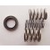 Capitol Vacuum Parts23E-E2M5-V Repair Kit and Vanes